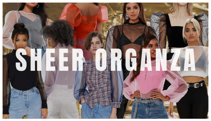 Post COVID Planning Sheer Organza