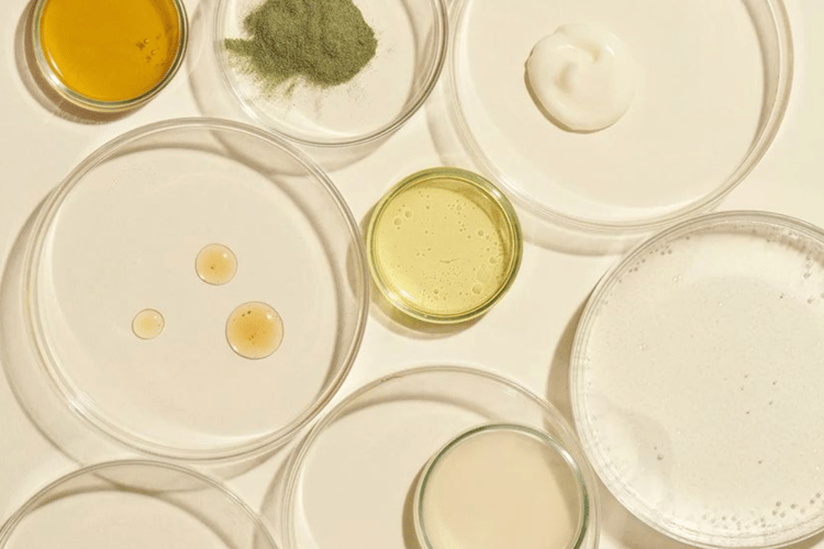 Screenshot 2023-11-13 162637