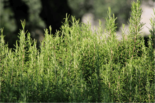 image - 2023-11-28T101623.465