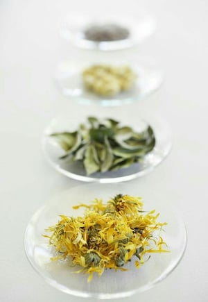 image - 2024-05-09T225514.126